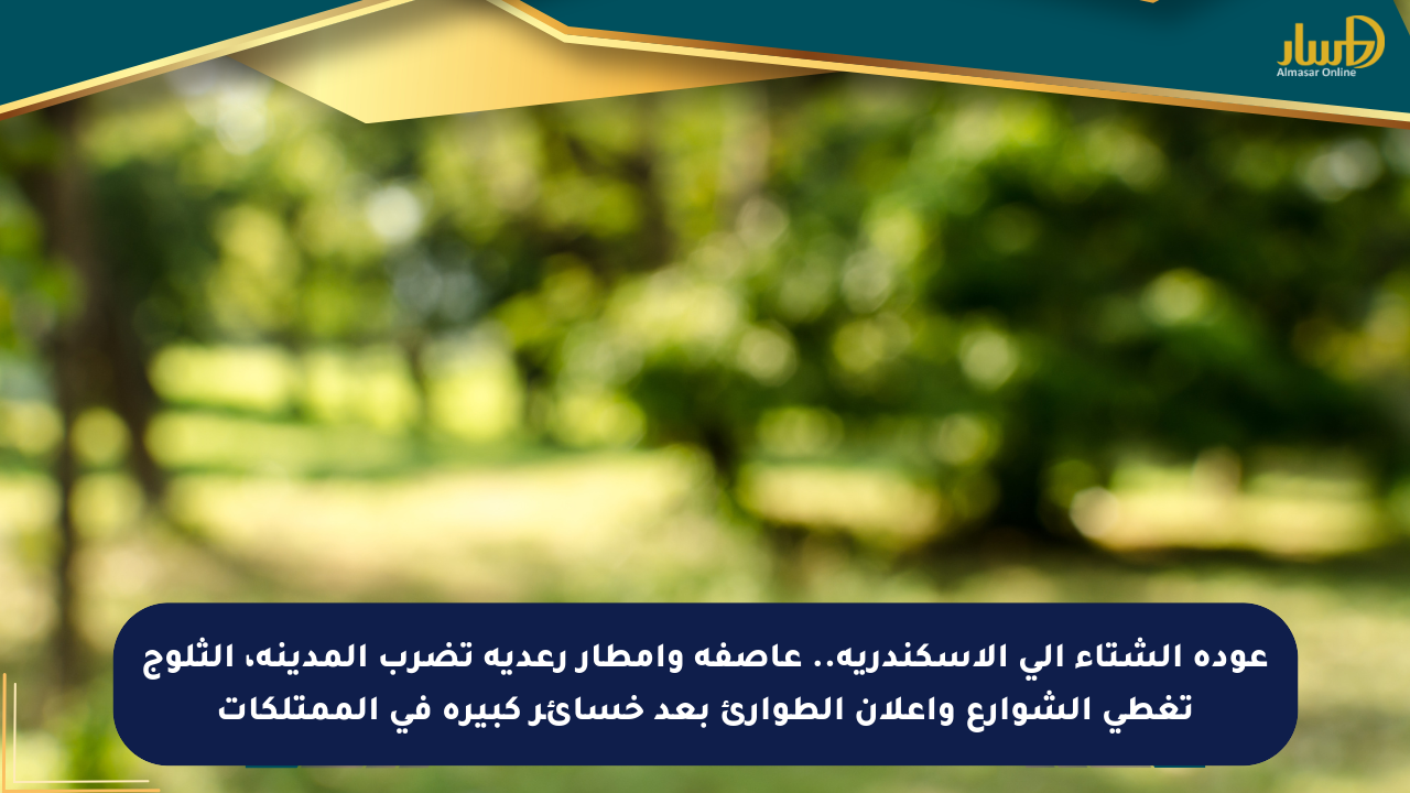 عودة الشتاء إلى الإسكندرية.. عاصفة وأمطار رعدية تضرب المدينة، الثلوج تغطي الشوارع وإعلان الطوارئ بعد خسائر كبيرة في الممتلكات